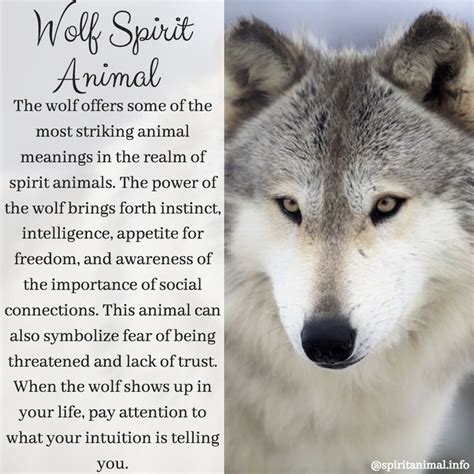 The Symbolic Meaning of Wolf Magic in Dreams and Visions